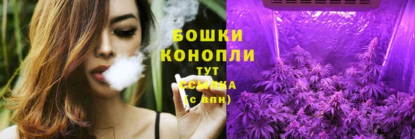 соль ск Надым