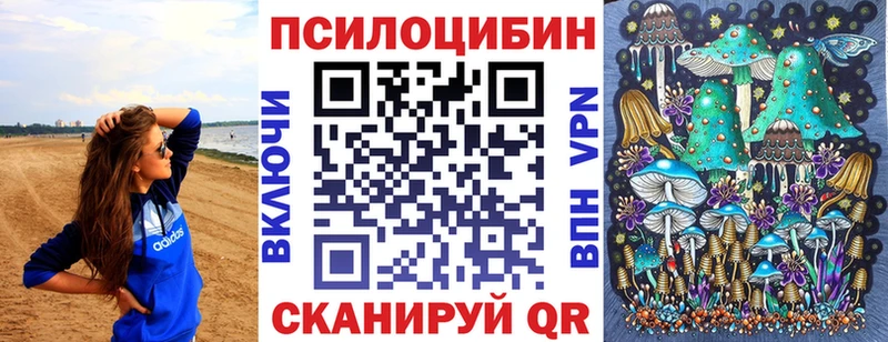 цена наркотик Шелехов Галлюциногенные грибы Psilocybe